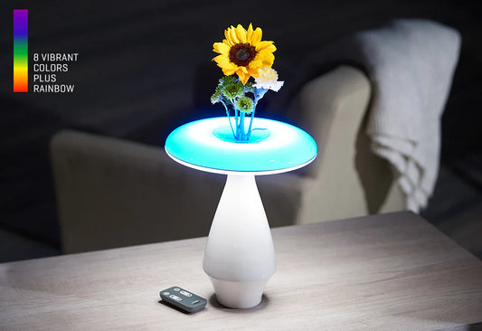 LED Ceramic Flower Vase